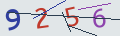 verifycode